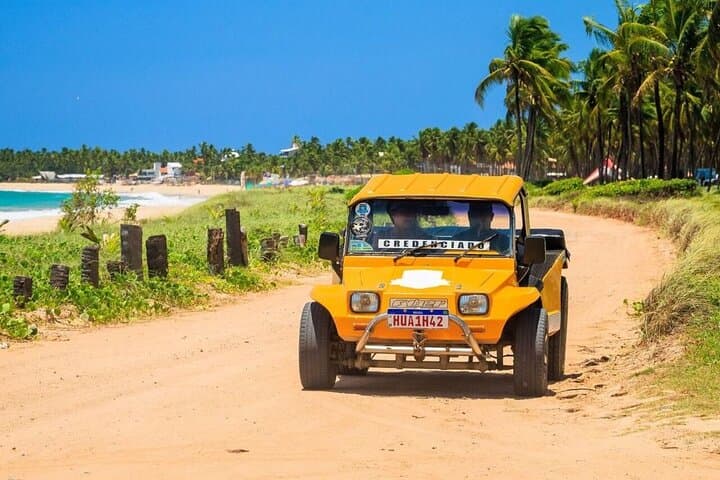 Ponta-a-Ponta Buggy Tour in Porto de Galinhas: Coastal Beaches, Reefs & Seahorse Nursery photo 3