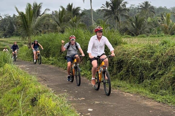 Kintamani Downhill Cycling from Ubud: Volcano Views, Villages & Balinese Lunch photo 2