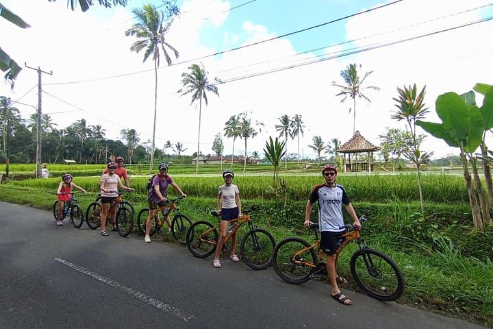Kintamani Downhill Cycling from Ubud: Volcano Views, Villages & Balinese Lunch photo 4