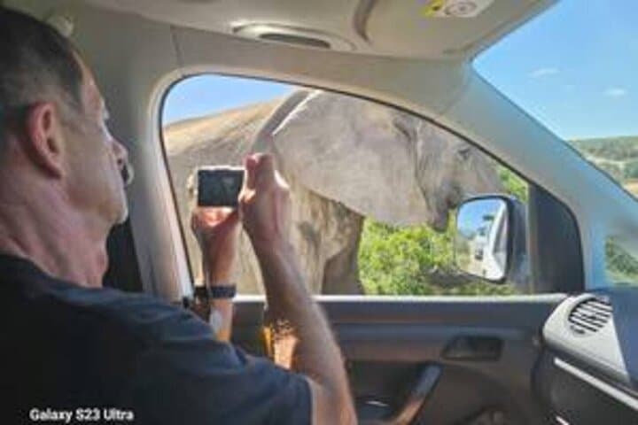 Addo Elephant National Park Private Safari — Big 7 Wildlife Drive from Gqeberha photo 5