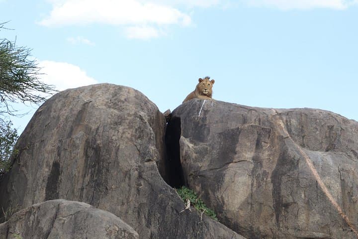4-Day Serengeti Balloon Safari and Ngorongoro Camping Adventure photo 4
