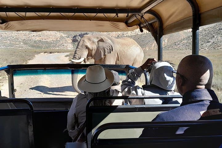 Aquila Game Reserve Safari and Fairview Wine Tasting — Full-Day from Cape Town photo 1