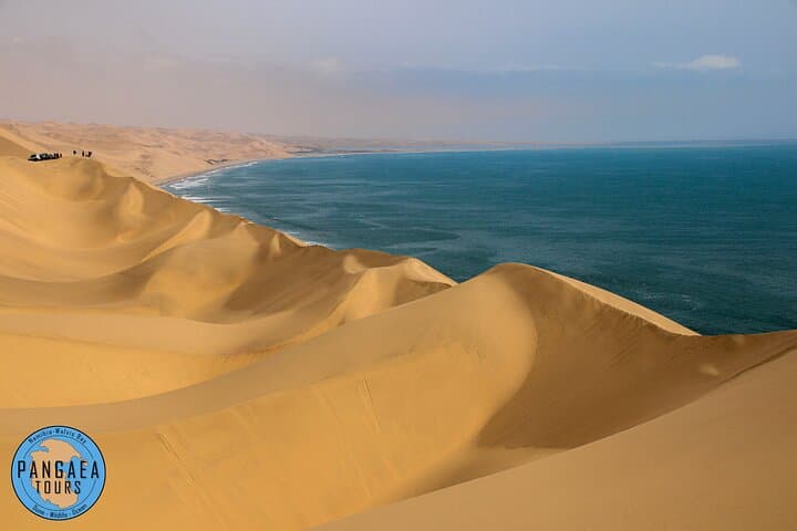 Sandwich Harbour and Pelican Point: 4x4 Photographic Experience