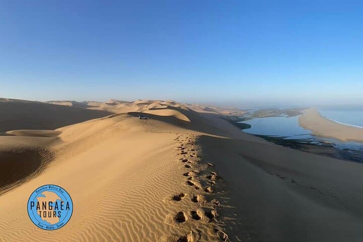 Sandwich Harbour & Pelican Point Combo: Walvis Bay Cruise and 4x4 Desert Tour