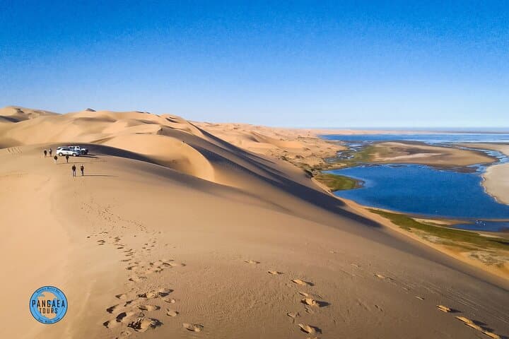 Sandwich Harbour 4x4 Adventure: Dunes, Wildlife & Ocean Views from Walvis Bay