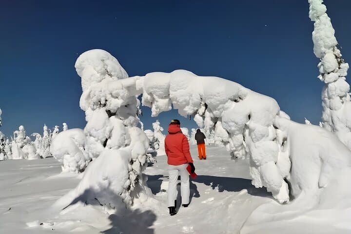 Riisitunturi & Korouoma Canyon Day Hike — Frozen Waterfalls & Snow Forests of Lapland