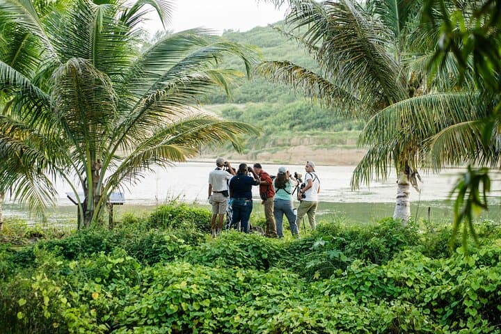 Barbados Bird Watching: Wetlands, Shorebirds & Private Sanctuaries (Transport Included) photo 4