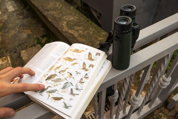 Barbados Bird Watching: Wetlands, Shorebirds & Private Sanctuaries (Transport Included) photo 6