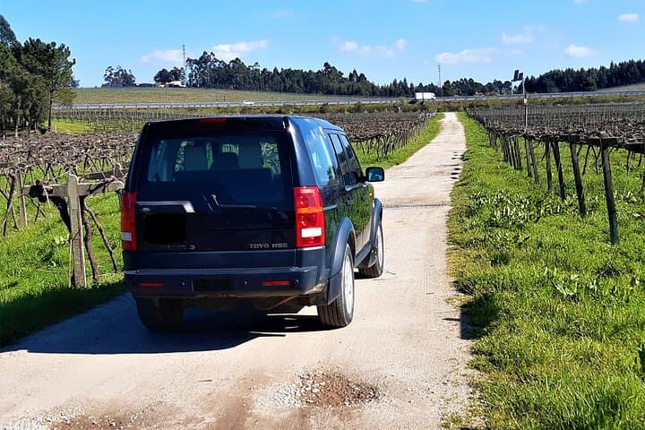 Douro 4x4 Green-Wine Tour and Farm Gastronomic Lunch from Porto photo 3
