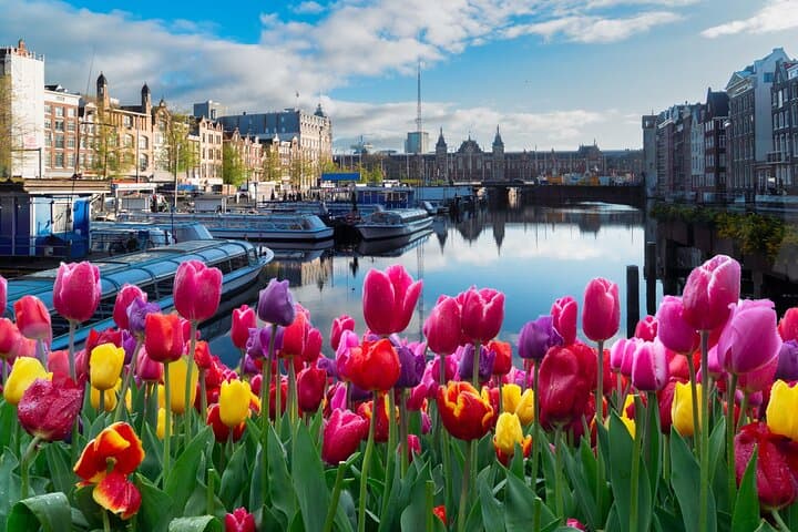 Amsterdam Audio Tour — Historic Charms & City Scavenger Hunt photo 2