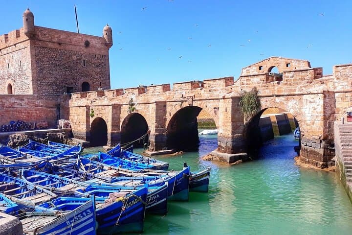 Essaouira Day Trip from Marrakech — Argan Groves, UNESCO Medina & Atlantic Coast photo 6