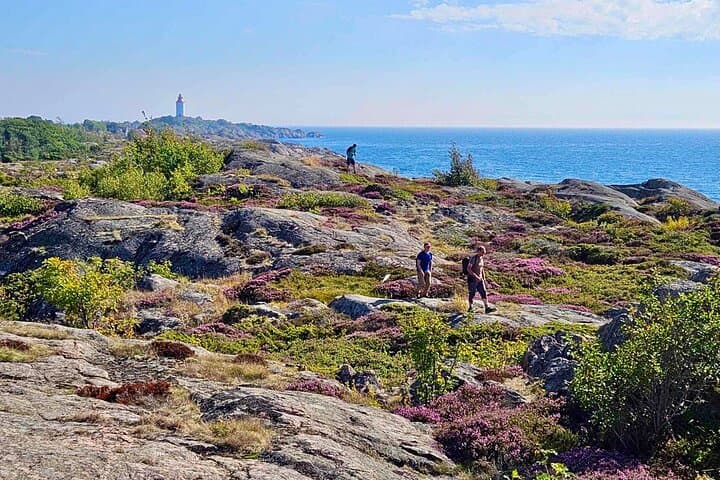Day Hike to Landsort Lighthouse: Öja Island in the Stockholm Archipelago photo 4
