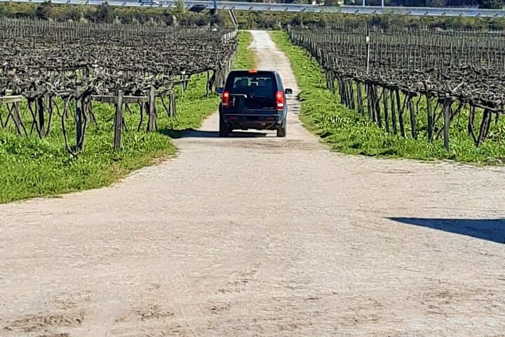 Douro 4x4 Green-Wine Tour and Farm Gastronomic Lunch from Porto photo 6