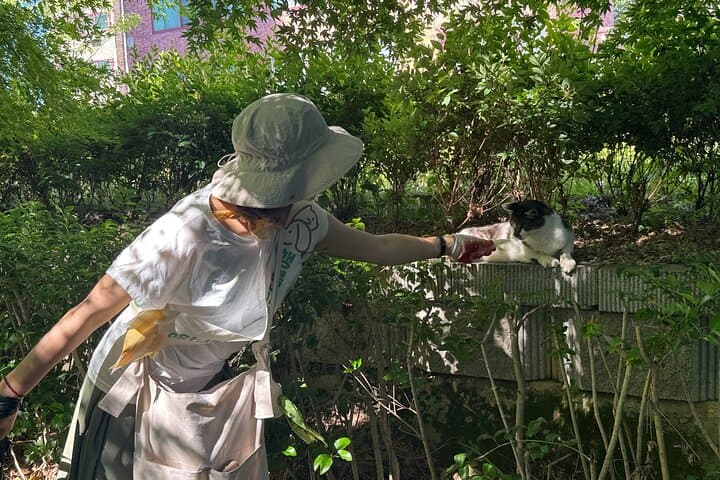 Gwangju Pet Plogging Tour — Pureun-gil Park Clean Walk & Community Animal Care photo 5