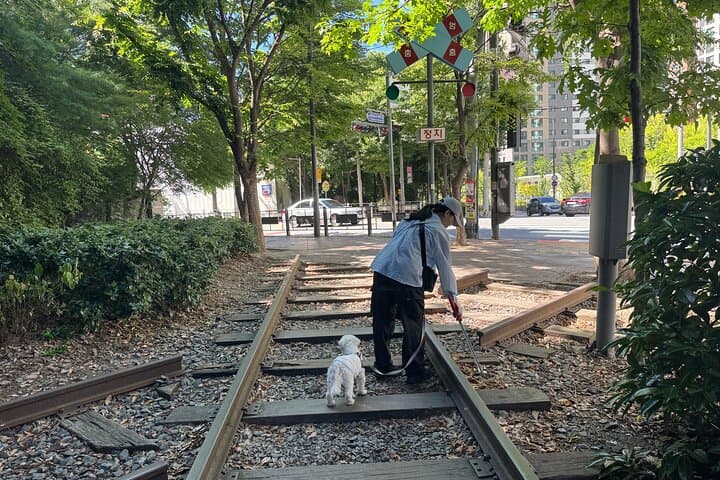 Gwangju Pet Plogging Tour — Pureun-gil Park Clean Walk & Community Animal Care photo 4