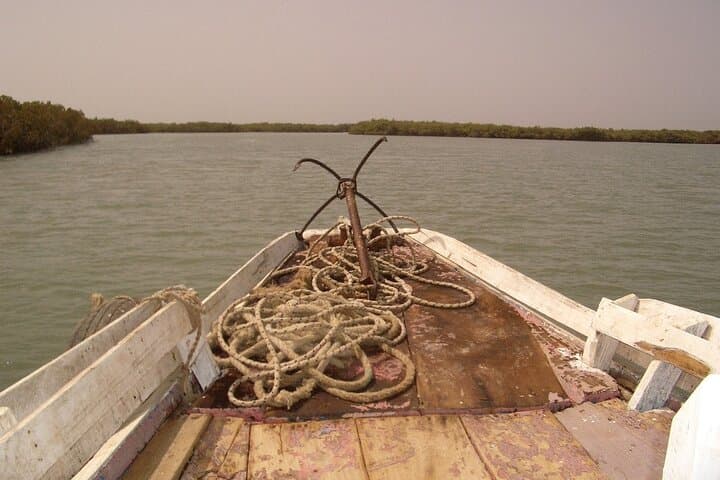Gambia River Fishing Cruise with Lunch — Banjul Day Trip photo 4