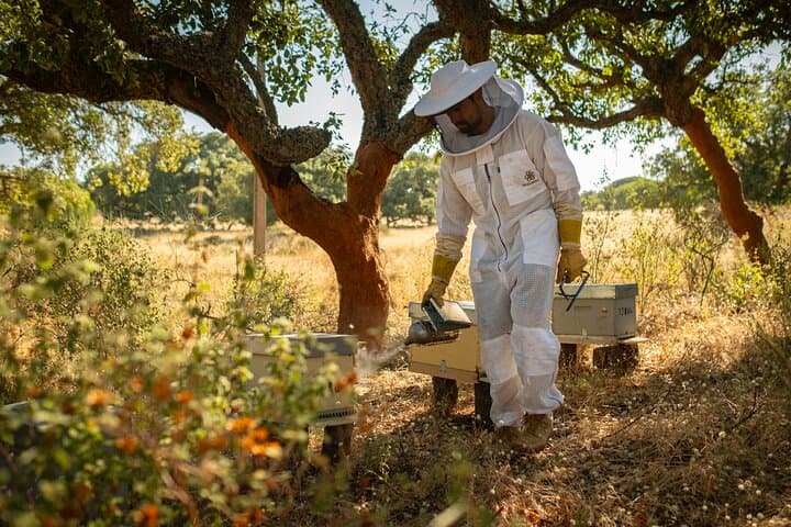 Algarve Beekeeping Experience: Honey Tasting & Traditional Apiary Visit