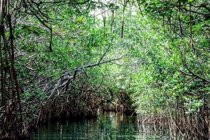 Speedboat & Snorkeling Adventure in Cancun's Nichupte Lagoon and Punta Nizuc photo 3