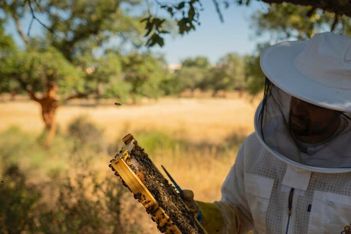 Algarve Beekeeping Experience: Honey Tasting & Traditional Apiary Visit photo 5