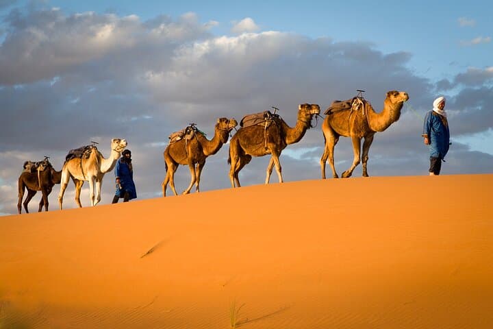 3-Day Tunisian Desert Adventure: Dunes, Oases & Bedouin Nights photo 5