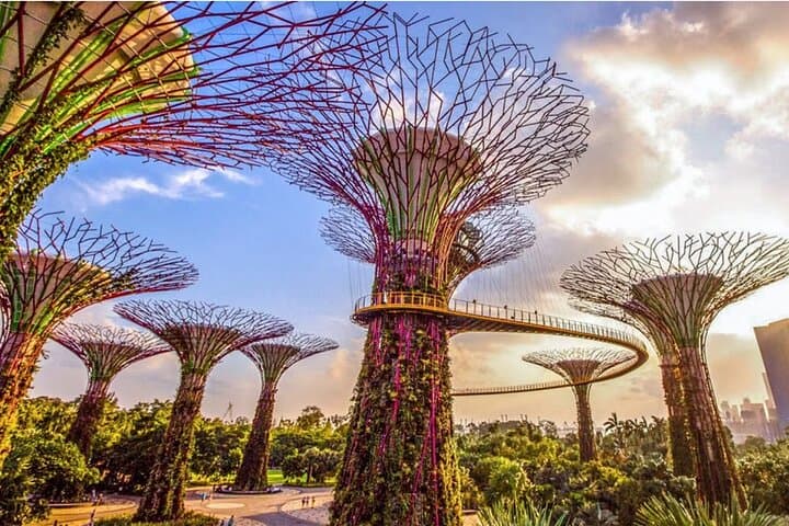 Singapore Flyer Combo: Gardens by the Bay, SkyPark & ArtScience Views photo 6