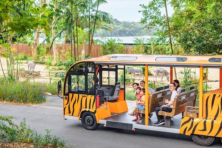 Singapore Zoo: Tram Ride & 11 Themed Zones — Visitor Guide