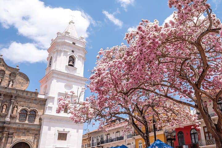 Half-Day Private Panama City Tour: Miraflores Locks, Casco Viejo & Skyline photo 1