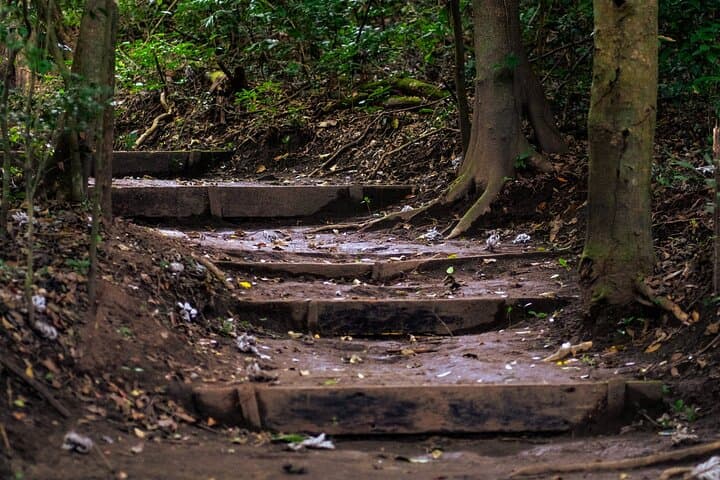 Guanacaste Essentials: Rincón de la Vieja — Culture, Nature & Hot Springs photo 4