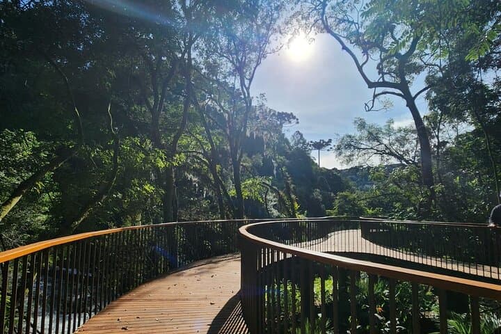 Caracol Park: View Caracol Waterfall & Explore Xaxins Forest Near Canela photo 2