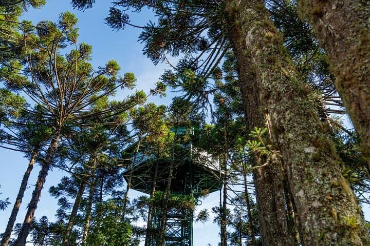 Caracol Park: View Caracol Waterfall & Explore Xaxins Forest Near Canela photo 4