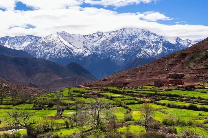 High Atlas Day Trip to Imlil Valley: Argan Tasting, Waterfalls & Berber Lunch photo 2