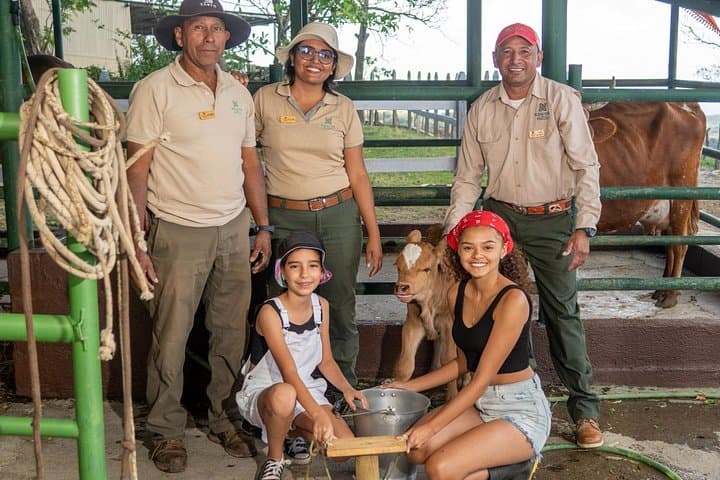 Playa Hermosa Circular Economy Farm Tour: Sustainable Farming & Beekeeping Workshop photo 4