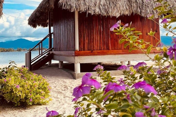 San Blas Day Trip from Panama City: Islands, Natural Pool & Guna Culture photo 3