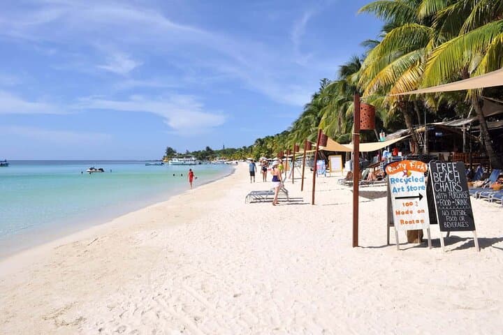 Roatán Zip N Dip: Zipline Over Jungle Canopy & West Bay Beach Break photo 2