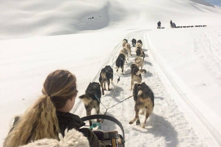 Dog Sledding & Animal Encounters from Anchorage — Huskies, Reindeer & Matanuska Valley photo 2