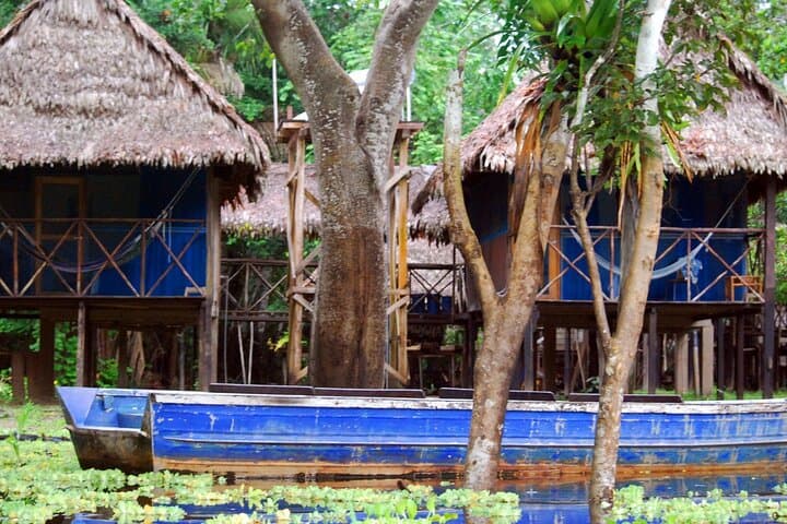Full-Day Amazon River Adventure from Iquitos — Wildlife, Culture & Pink Dolphins photo 5