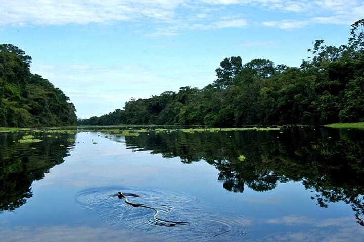 Full-Day Amazon River Adventure from Iquitos — Wildlife, Culture & Pink Dolphins photo 6