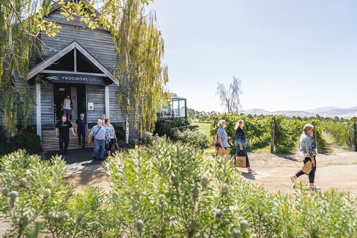 Coal River Valley Wine Trail: Richmond Tastings, Two‑Course Lunch & Tasman Views