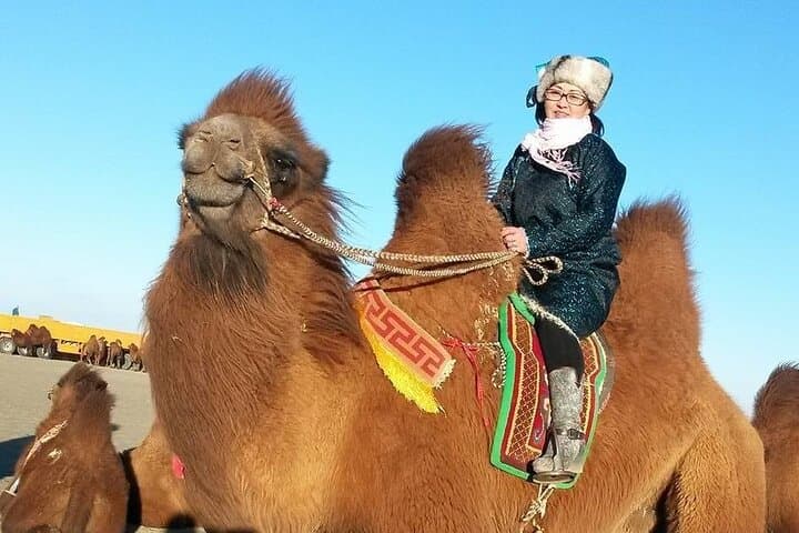 Gobi Desert Highlights: Khongor Dunes, Flaming Cliffs & Yol Valley — 5-Day Adventure photo 6