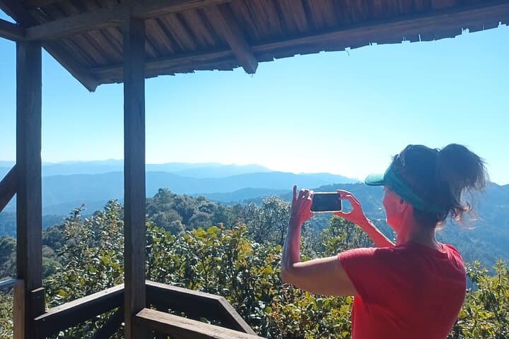 Sierra Norte Oaxaca Day Hike: Pine-Oak Trails & Cloud-Forest Views