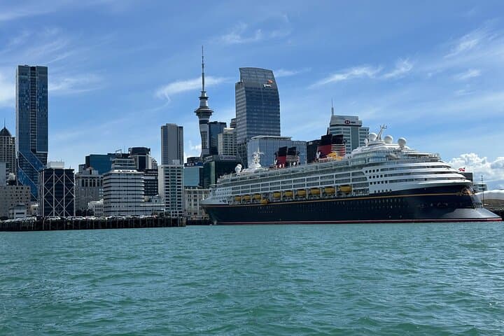 Auckland Essentials: 90-Minute Private City Tour by Car or Van photo 5