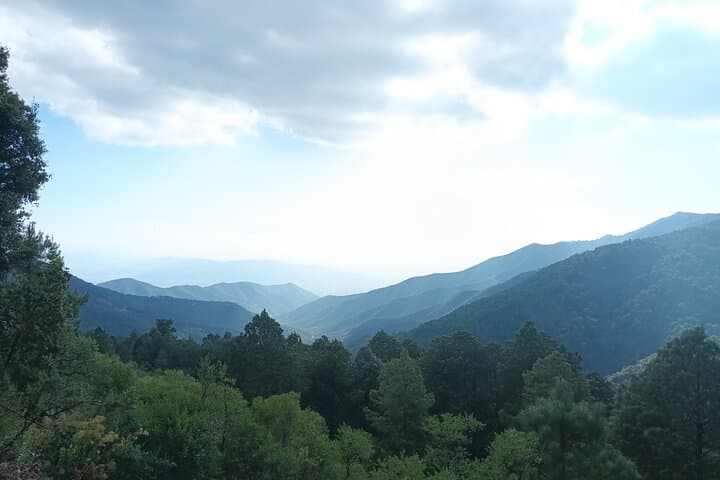 Sierra Norte Oaxaca Day Hike: Pine-Oak Trails & Cloud-Forest Views photo 5