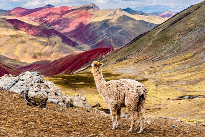 Palccoyo Colored Mountains: A Quieter Rainbow Mountain Day Trip from Cusco photo 3