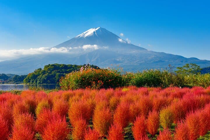 Mount Fuji Full-Day Sightseeing from Tokyo: Kawaguchiko, Oshino Hakkai & 5th Station photo 2