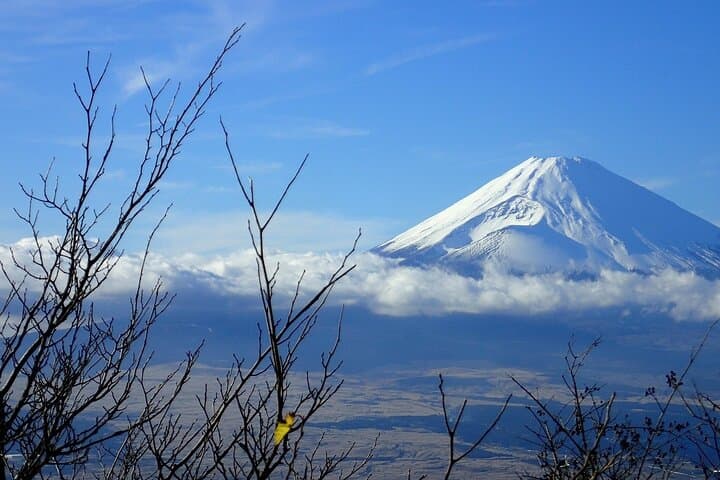 Hakone Luxury Full-Day Chauffeured Tour — Private Car, Ropeway & Lake Ashi photo 3