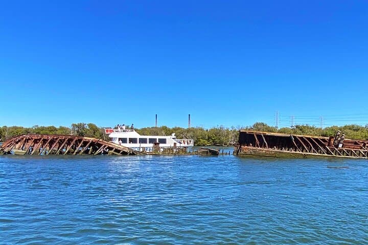 Port River Dolphin & Ships Graveyard Cruise: 90-Minute Guided Boat Tour from Adelaide
