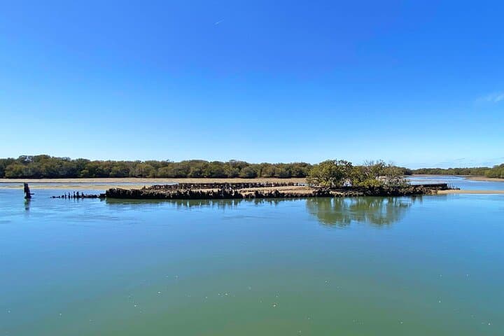 Port River Dolphin & Ships Graveyard Cruise: 90-Minute Guided Boat Tour from Adelaide photo 4