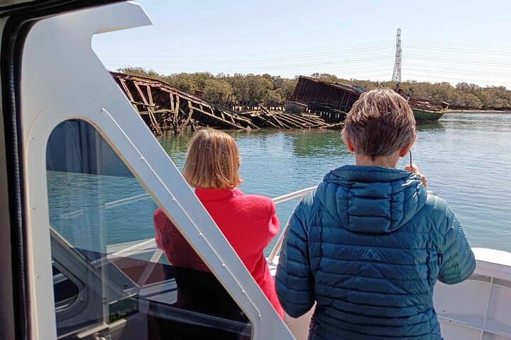 Port River Dolphin & Ships Graveyard Cruise: 90-Minute Guided Boat Tour from Adelaide photo 5