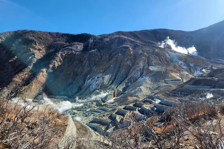 Hakone Luxury Full-Day Chauffeured Tour — Private Car, Ropeway & Lake Ashi photo 4