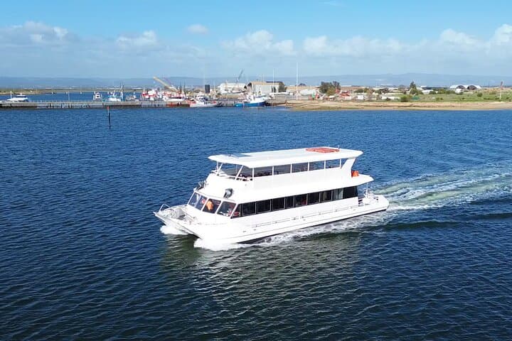 Port Adelaide Dolphin & Maritime Cruise — 2-Hour Wildlife and History Tour